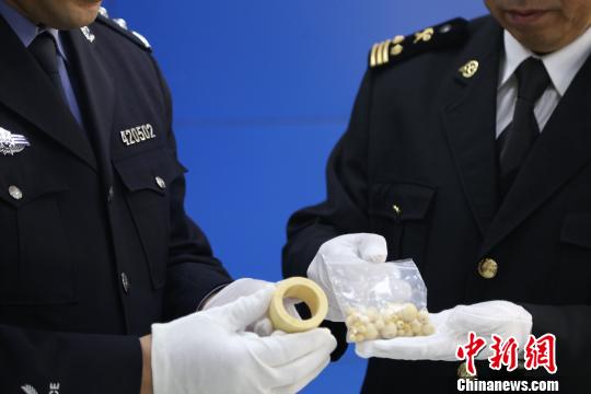 海關工作人員查獲象牙制品?！□U曉康 攝