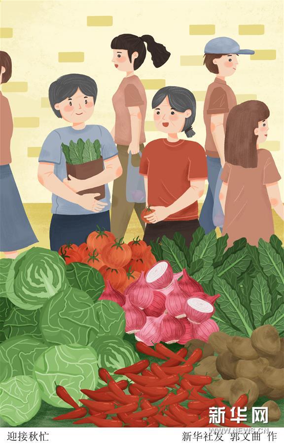 （圖表&middot;插畫）［二十四節(jié)氣&middot;立秋］迎接秋忙