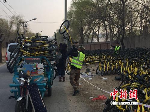 有故障的共享單車正源源不斷地送到維修點。<a target='_blank'  _fcksavedurl='http://www.chinanews.com/' ></table>中新網</a> 吳濤 攝