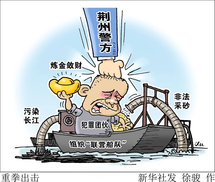 （圖表&middot;漫畫）[新華視點]重拳出擊